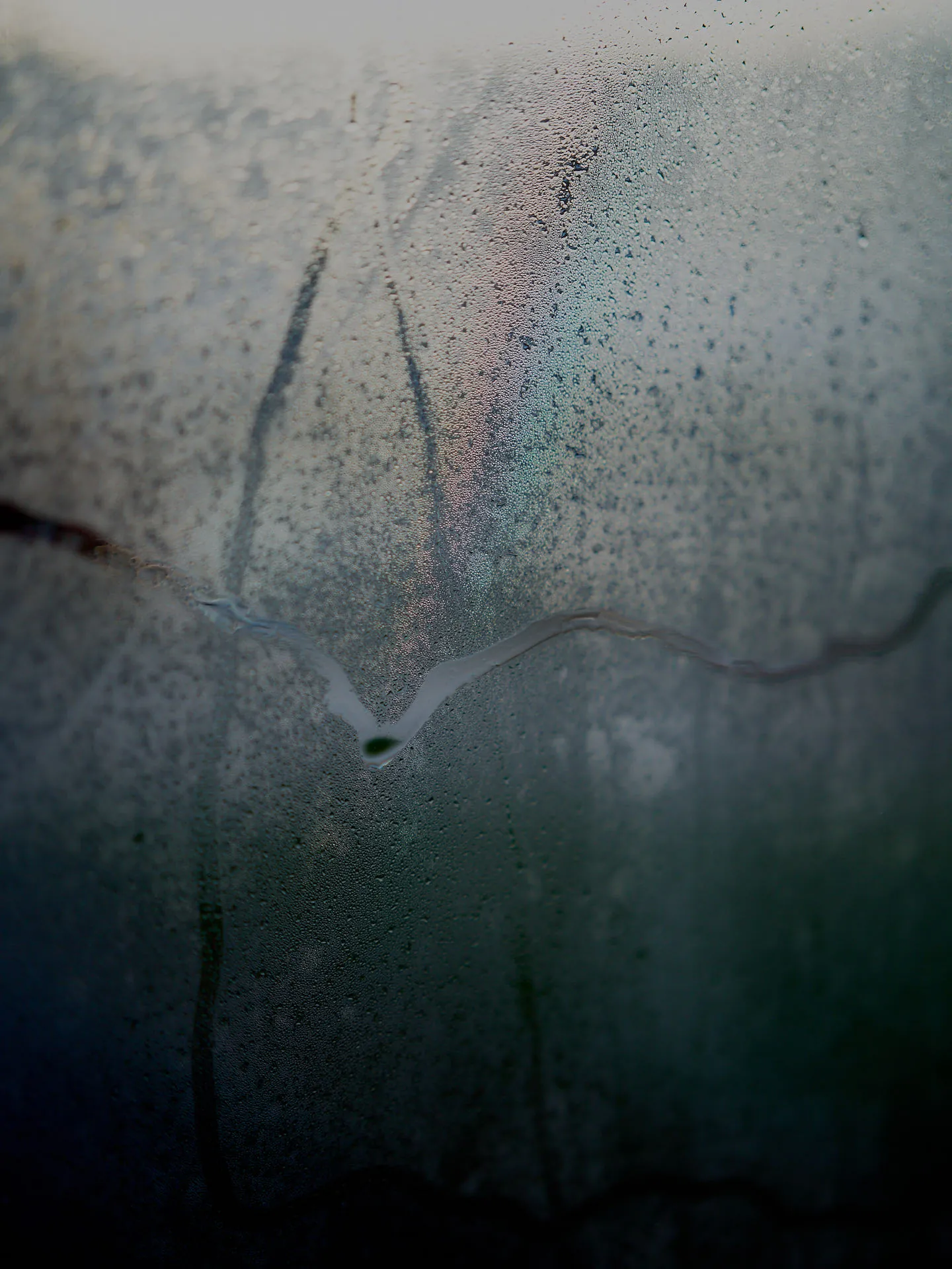 _DSC0225 copy