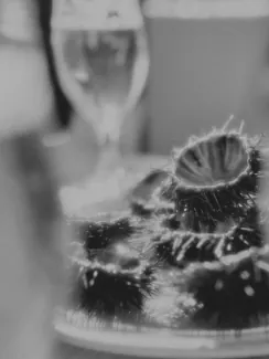 25-02_133