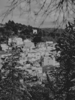 25-02_155