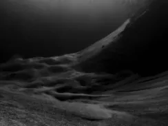 _DSF5757