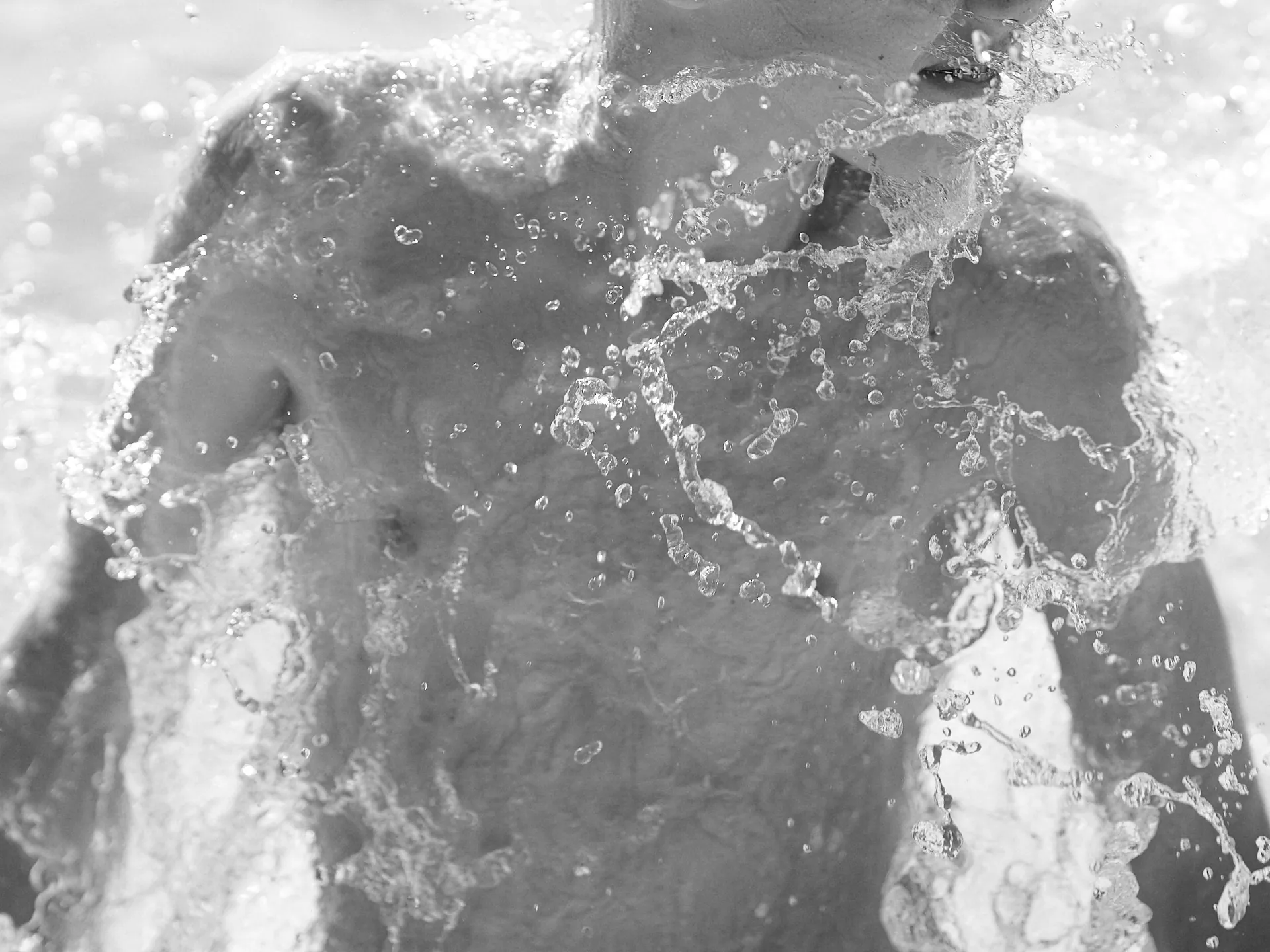 25-08_LANDES_227